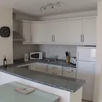 Royal Palm * لوس كريستيانوس